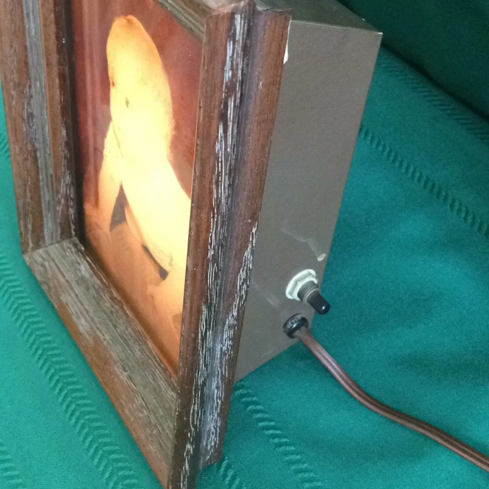 Vintage Moviette Inc Vuette Illuminator Electric Light Up Negative Picture Frame