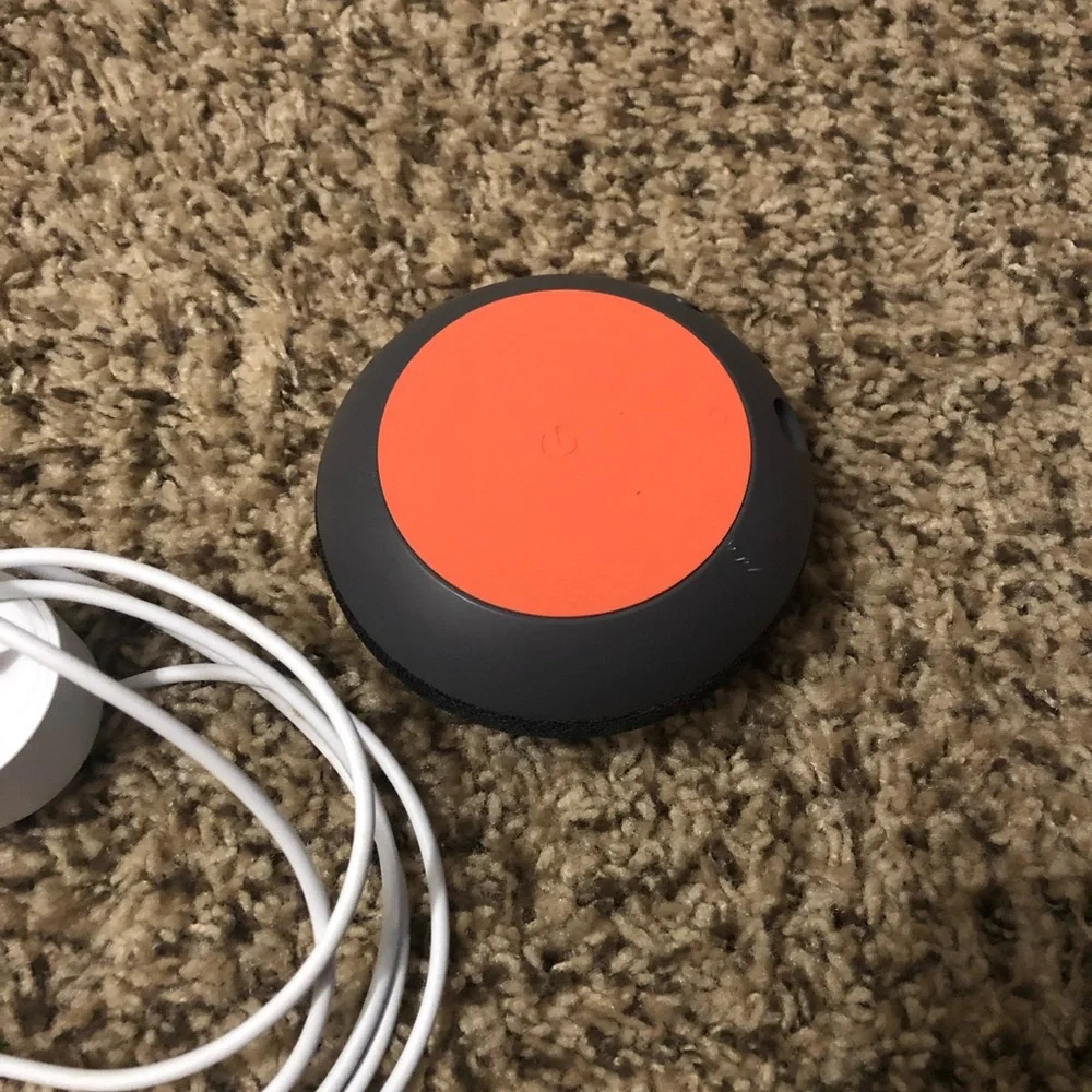 google home