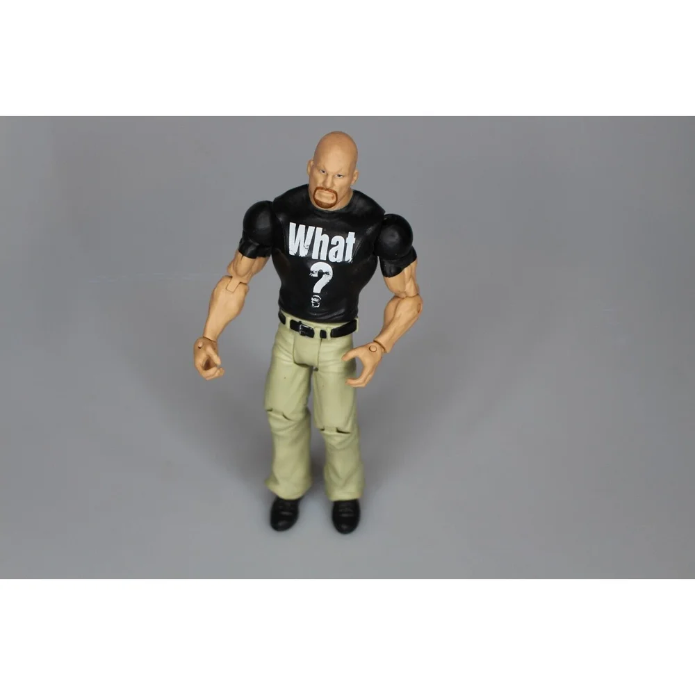 Mattel WWE Stone Cold Steve Austin 2011 WHAT ? Figure Smoking skull
