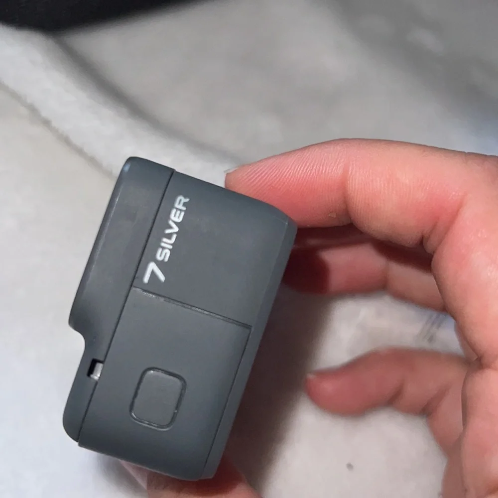 GoPro silver sceen