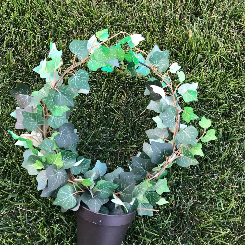IKEA euc potted