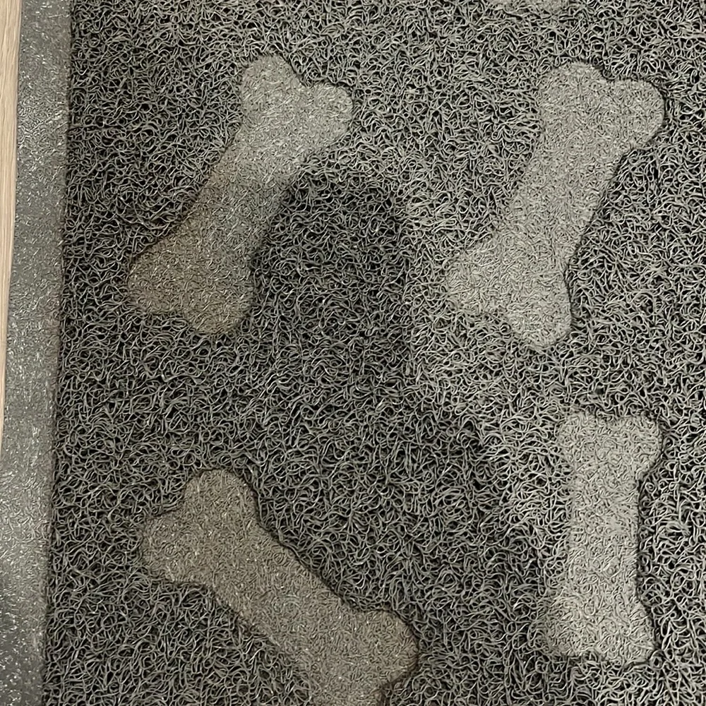 N/A grey dog