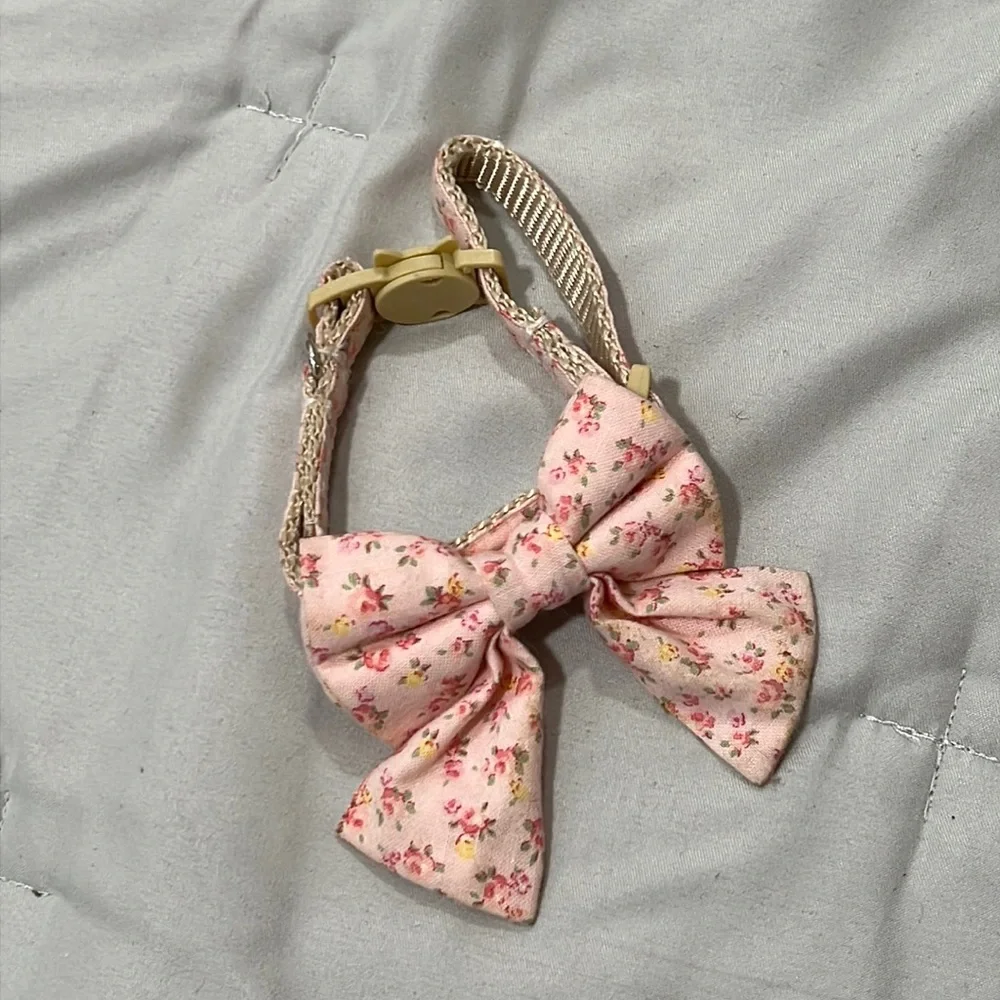 Kitten Collar
