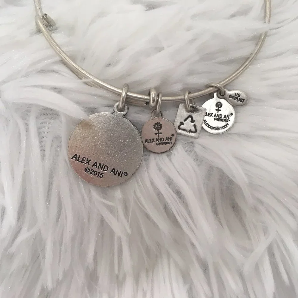 Alex and Ani hi glamshackers