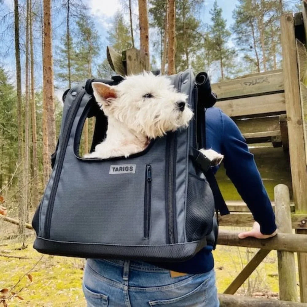 Tarigs PeakStone Backpack for dogs