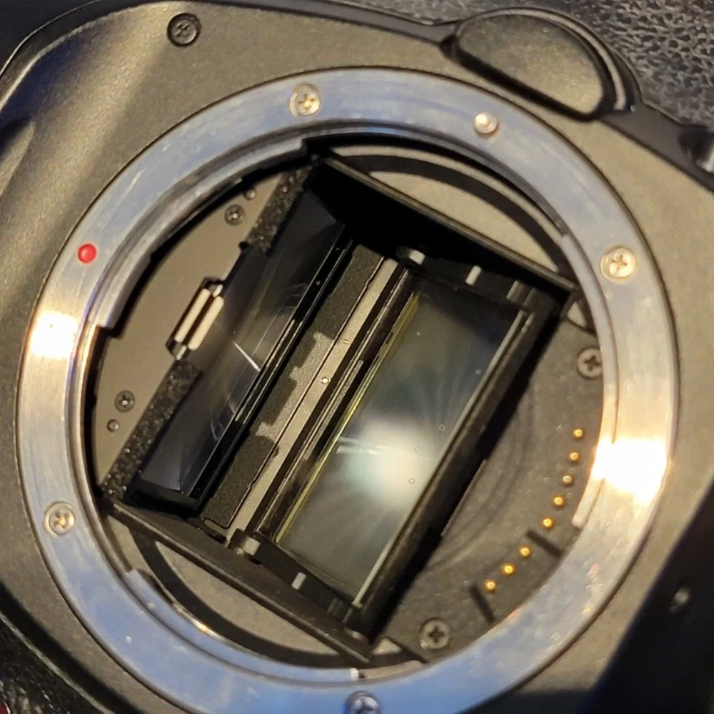 canon my 5d