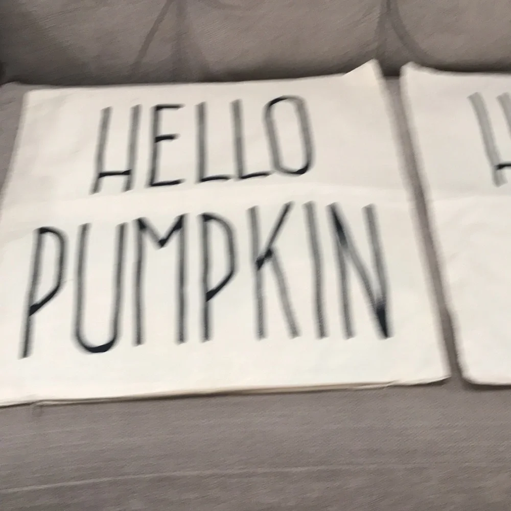 N/A fall pillow