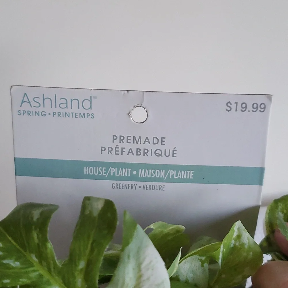 Ashland new arrival