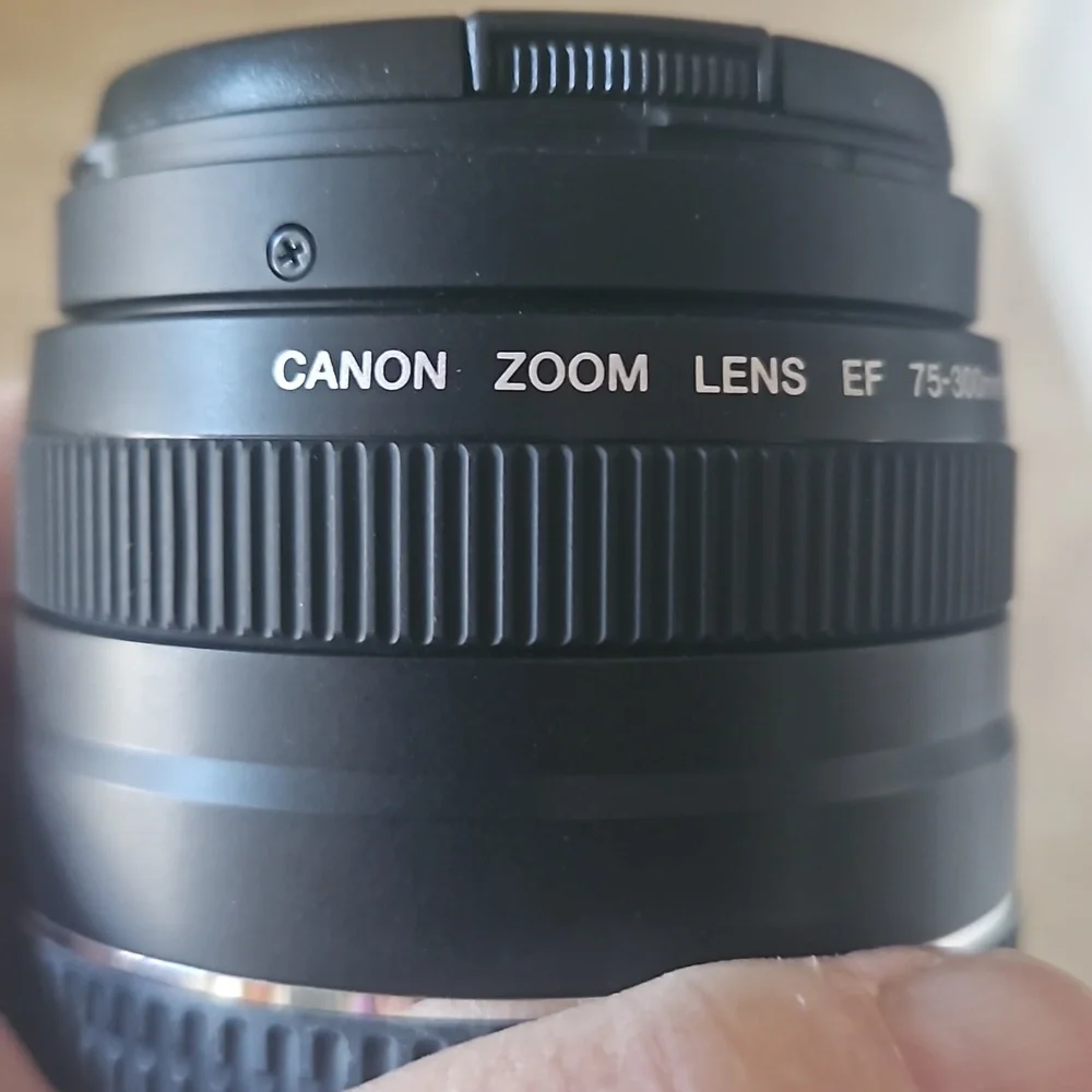 Canon EOS Rebel T3 DSLR