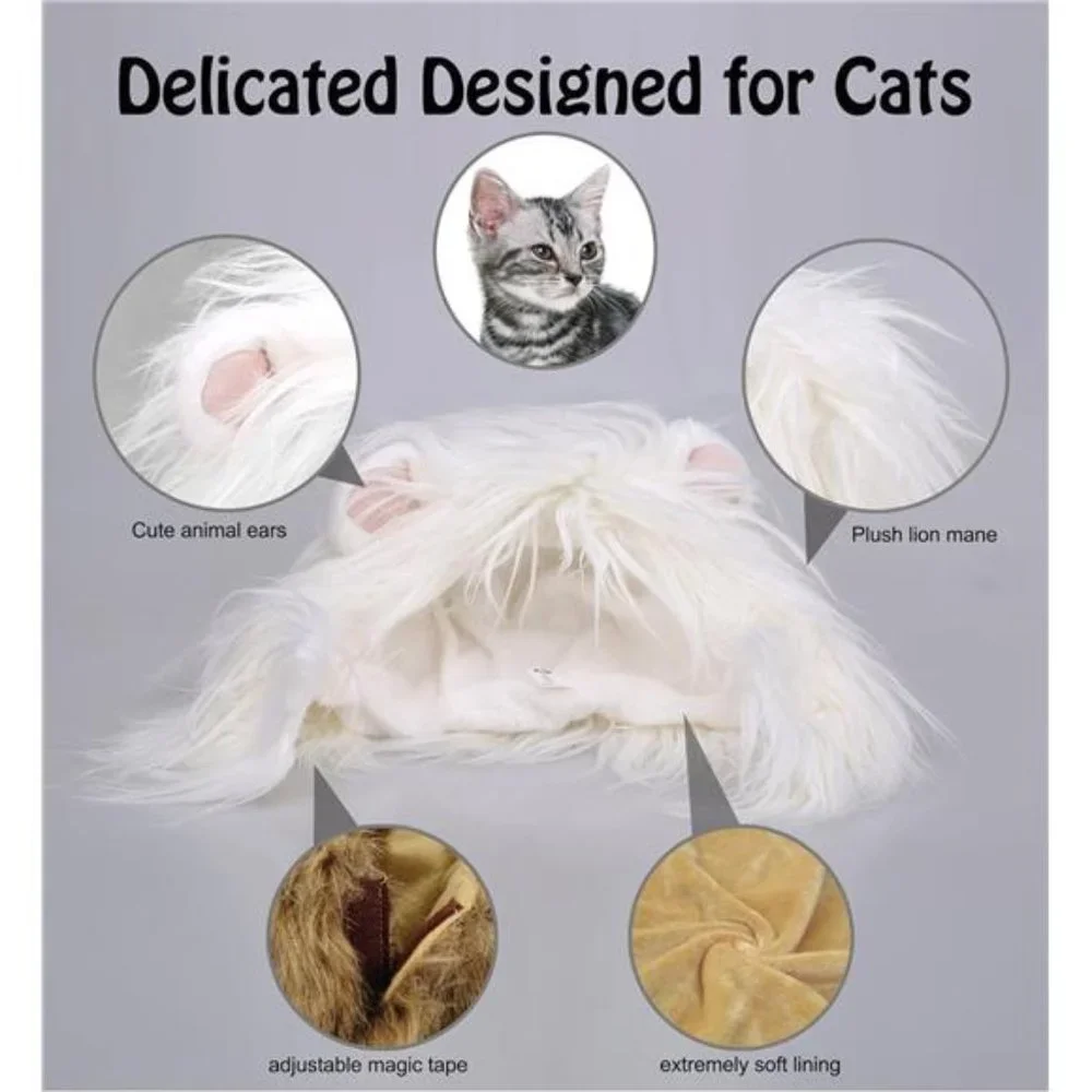 N/A every cat