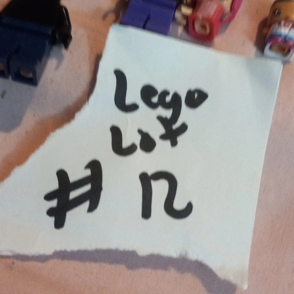 Lego lot piece bin