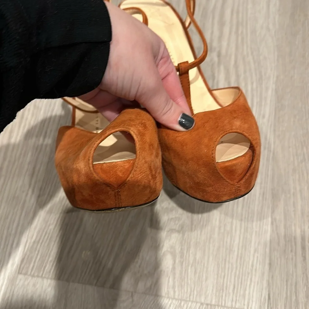 Giuseppe Zanotti giuseppe zannoti
