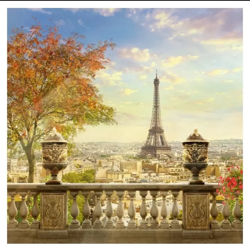 Paris vinyl background size 10x10 ft