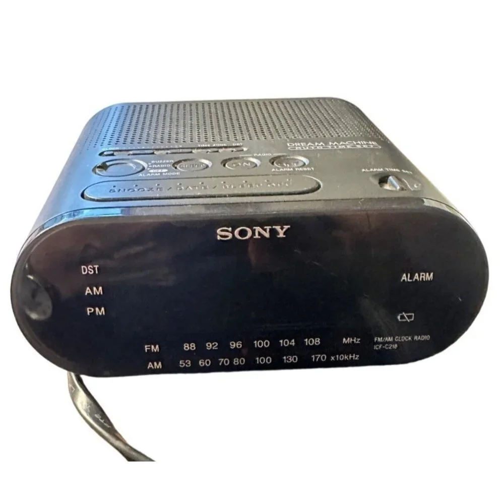Sony 1990s dream