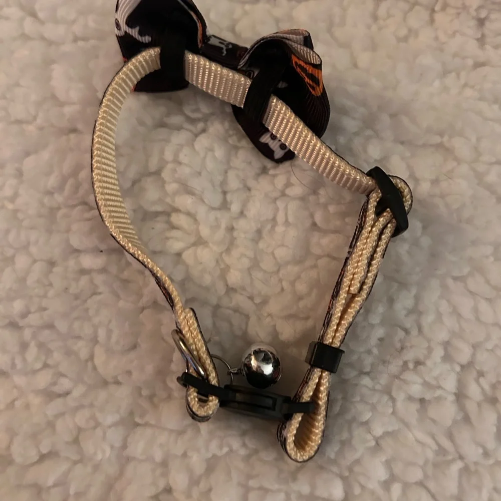Cat collar, Halloween style, adjustable, black and orange