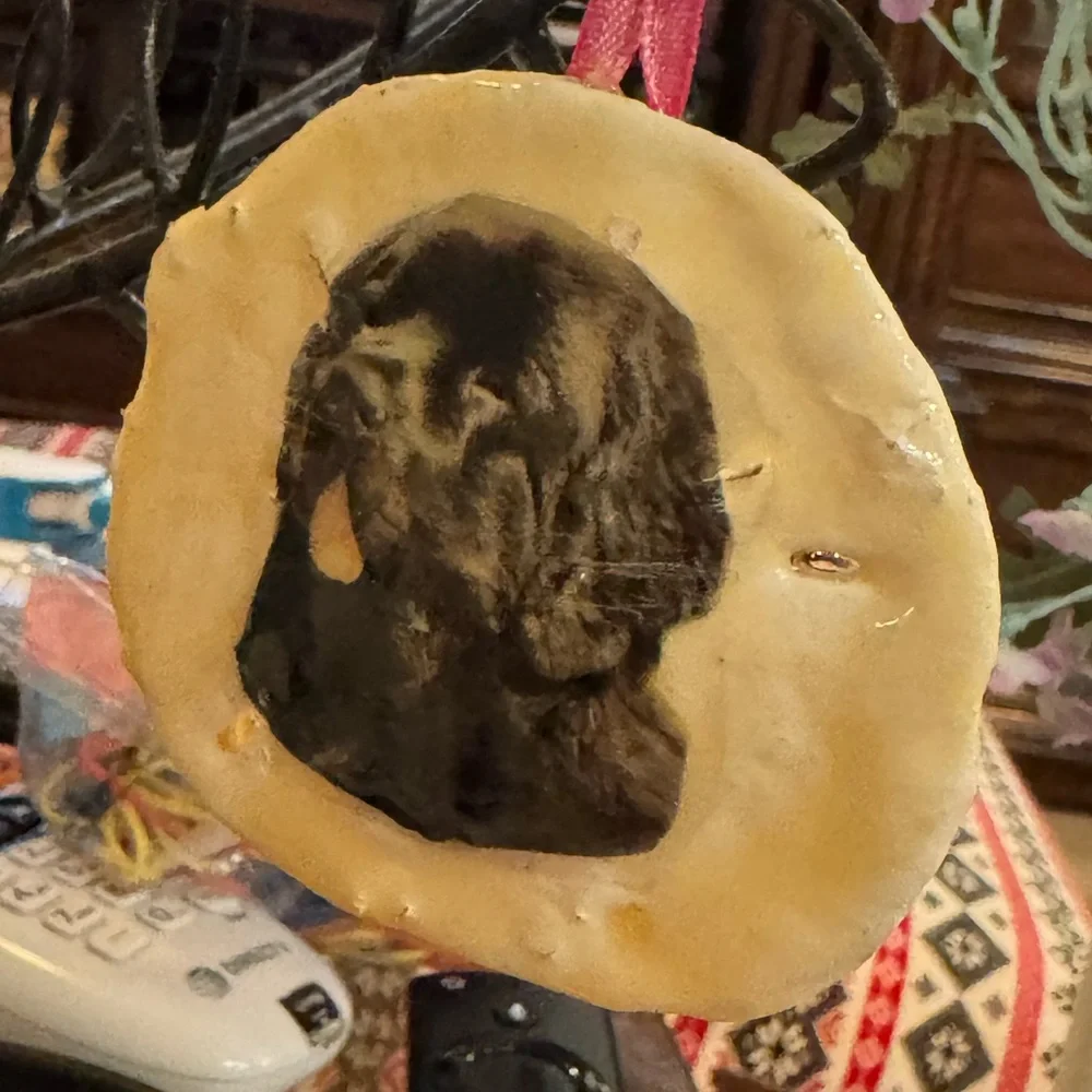 Black lab, sand dollars custom made! This one is 12$ custom made is 25$