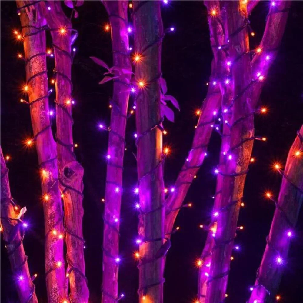 N/A 🧿halloween lights