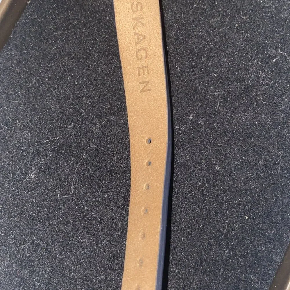 Skagen caja de