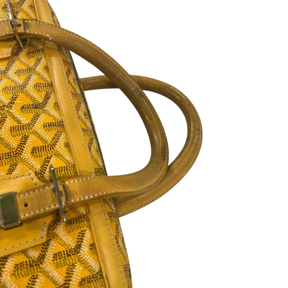 Goyard authentic ambassade