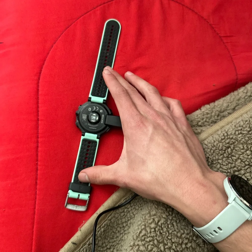 garmin wearable charger