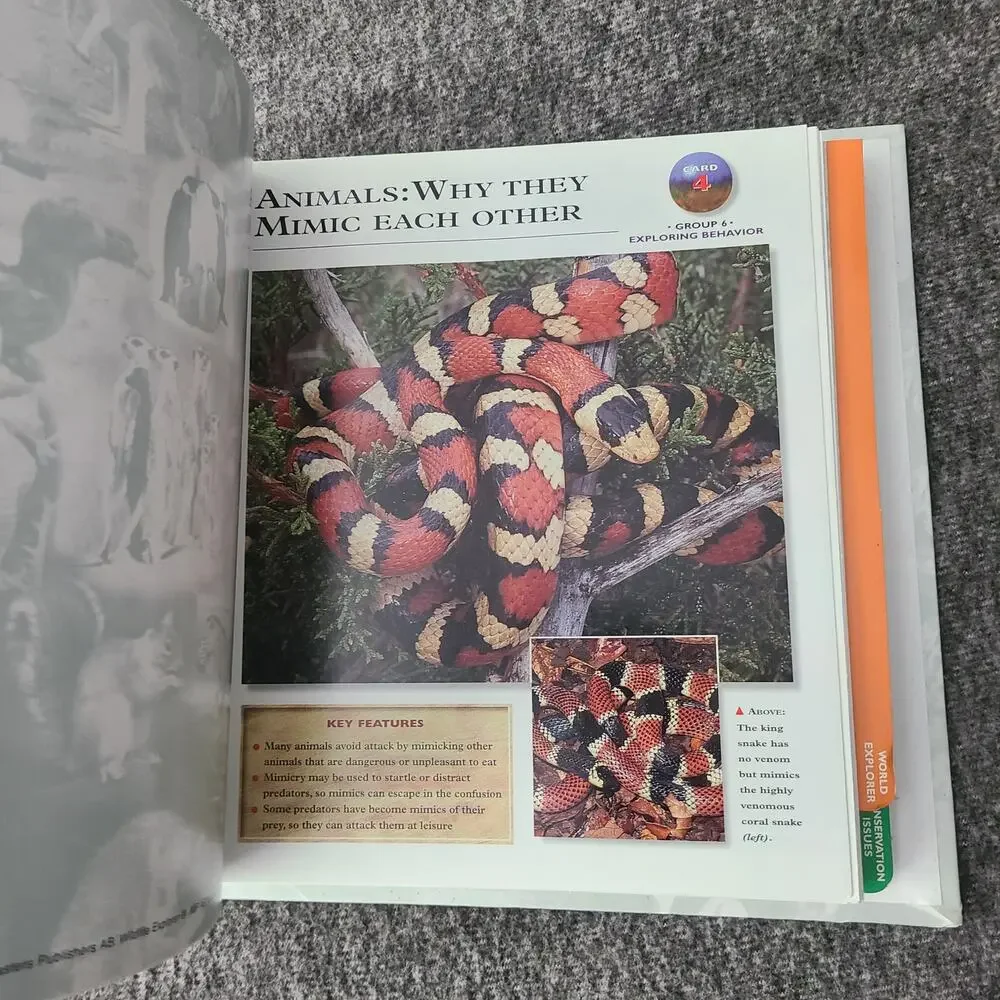 WILDLIFE EXPLORER Set 2 Binders w/Fact Cards Animal Birds Science Home School