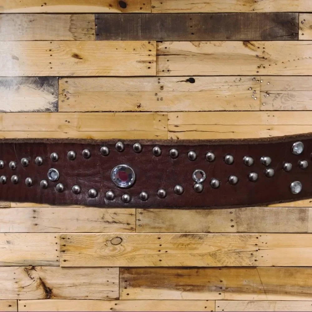 American Eagle Outfitters brown leather