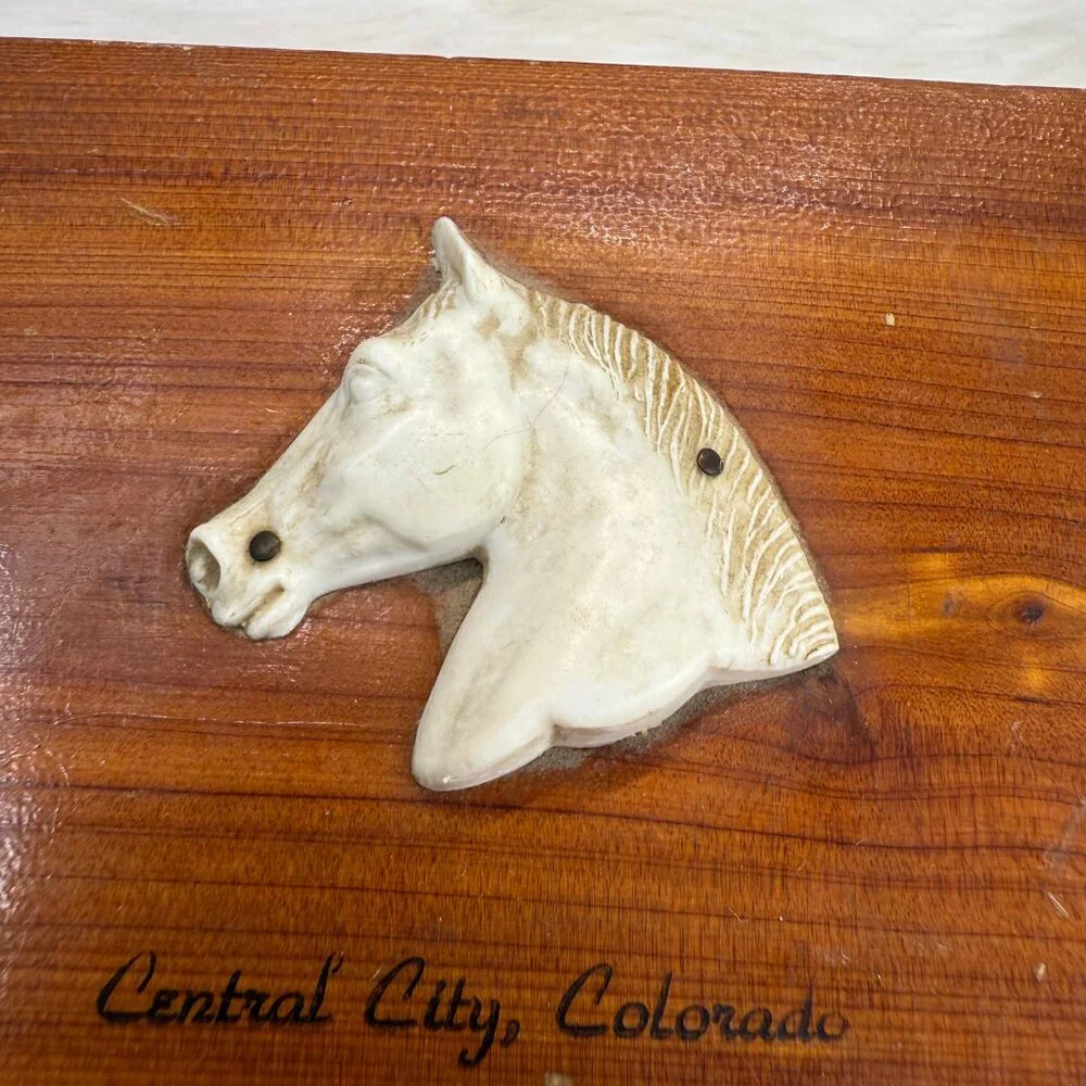 Vintage city century cowboy