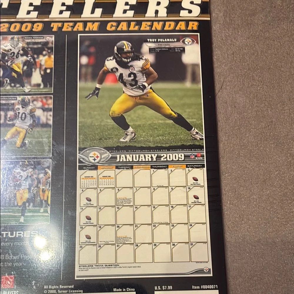NFL pittsburgh steelers