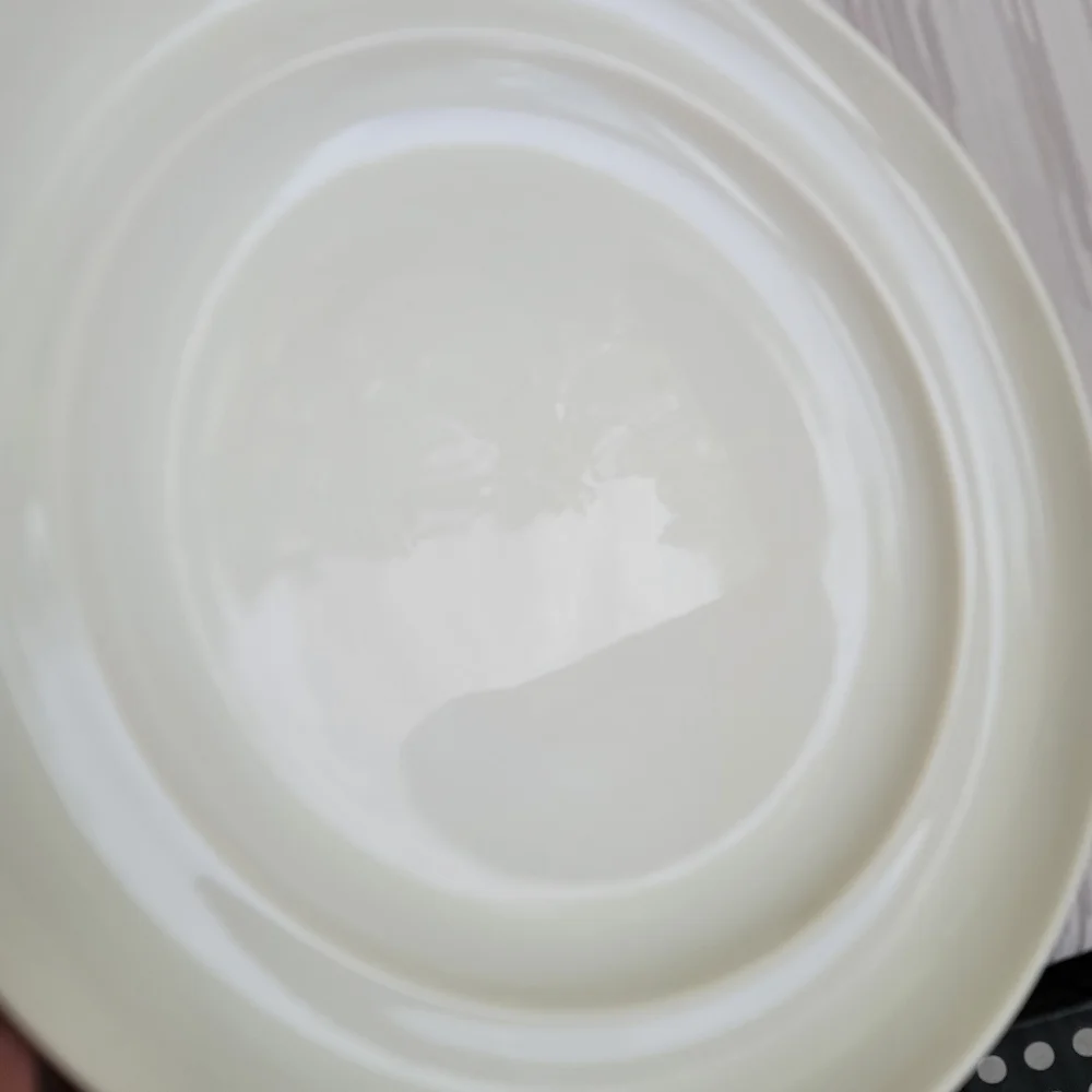 Pottery Barn China Sophia Cream Large Stoneware Dinner Plate 11.5