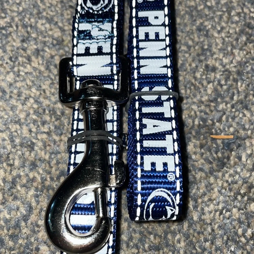 Pup-Rally penn state