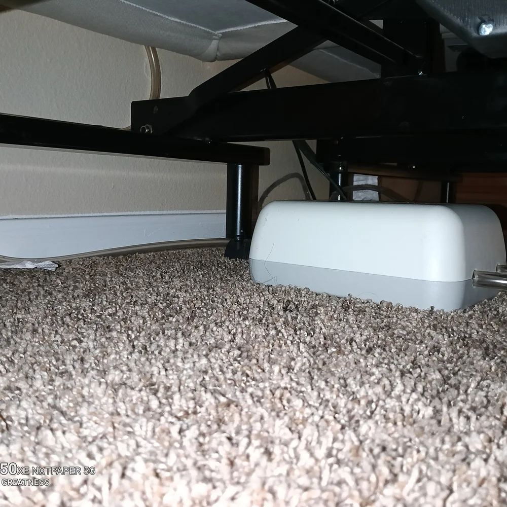 TempurPedic sleep number this white