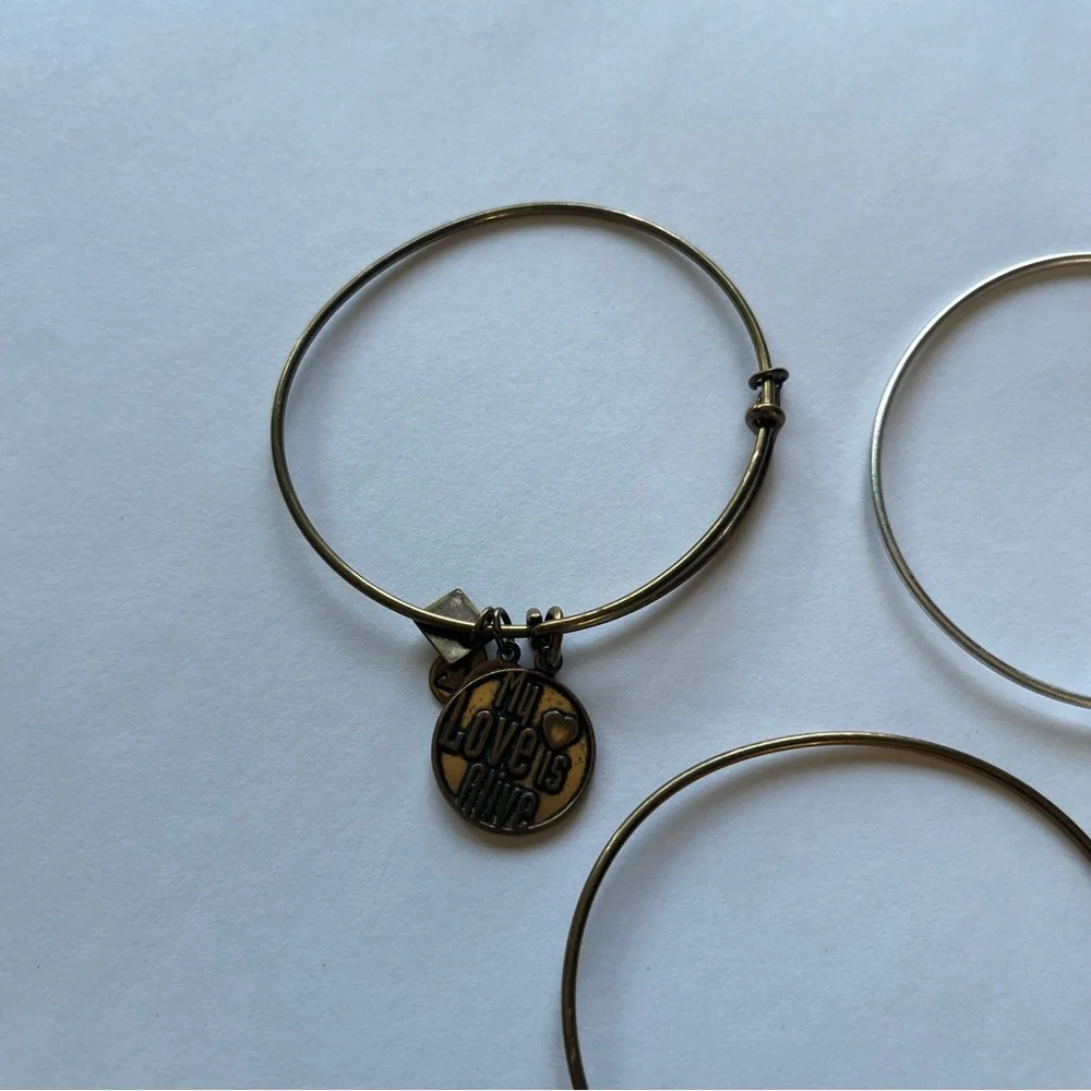 Alex and Ani great used