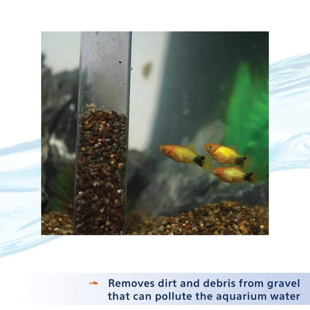 Aqueon new aquarium