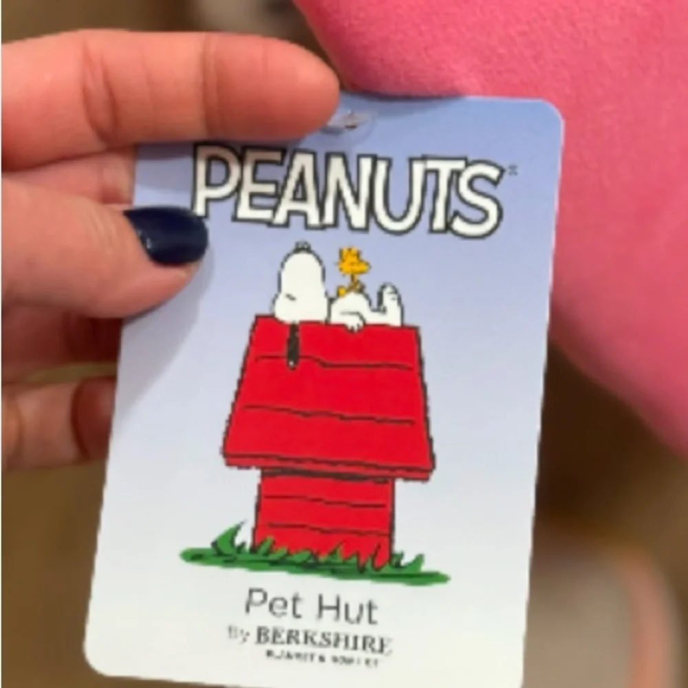 Peanuts brand new