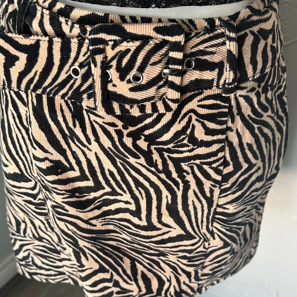 wild fable bold zebra