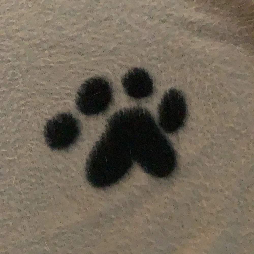 TWO Dog blankets big and soft - 2 for $16 and pay only one shipping!