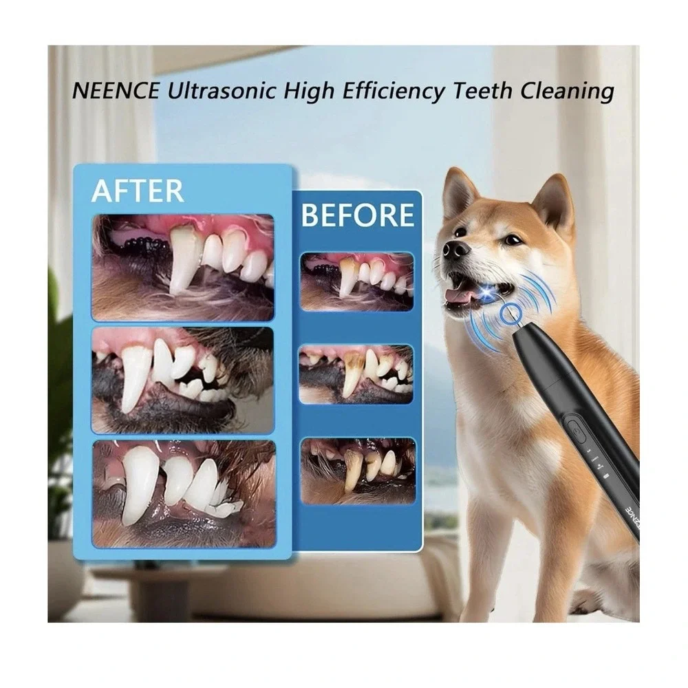 N/A neence dog
