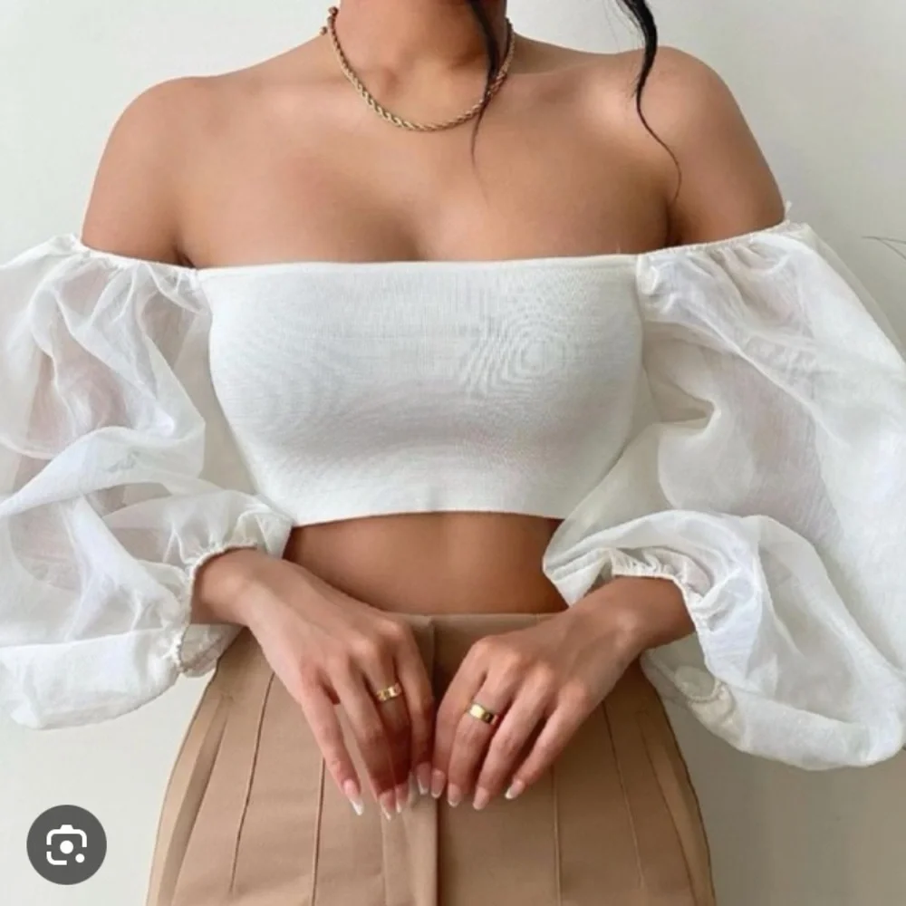 Zara Organza Sleeve Puff Blouse