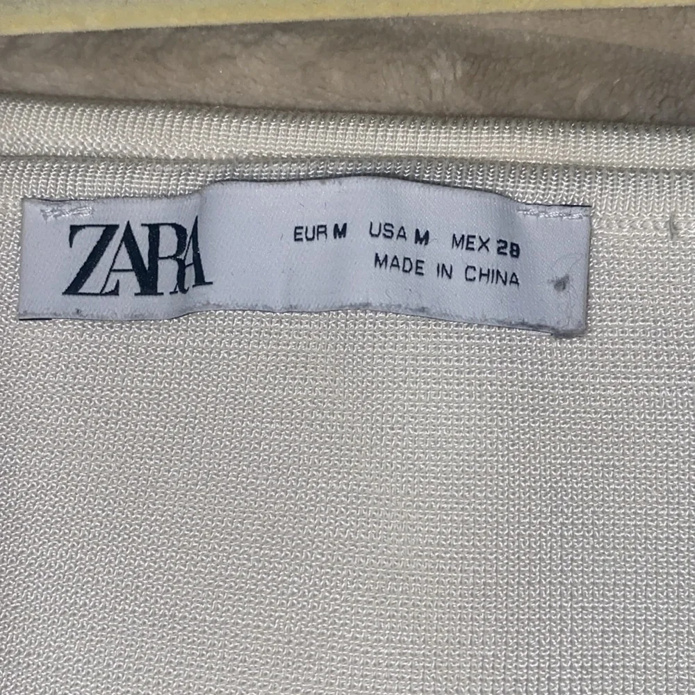 Zara Organza Sleeve Puff Blouse