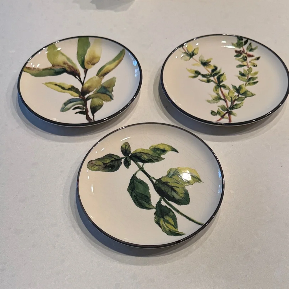 Crate&Barrel Botanical Dinnerware Set - Cream and Green 1 plate has small chips