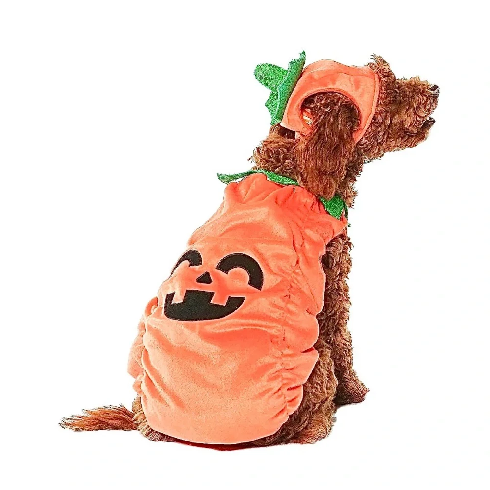 N/A your pet