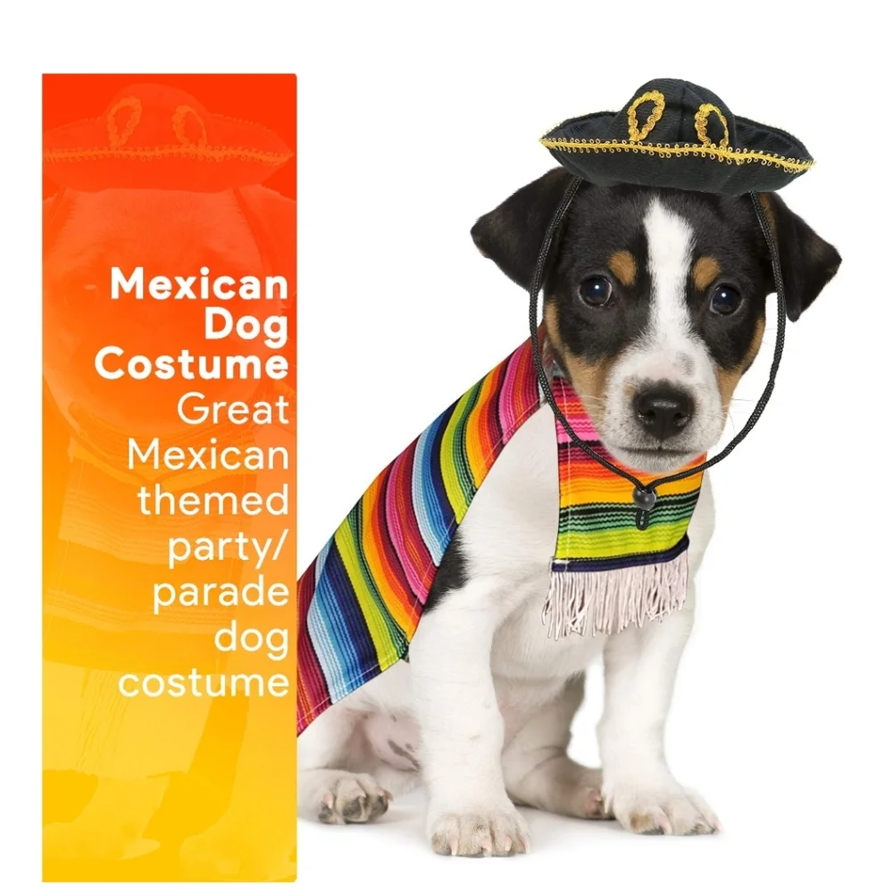 Rubies mexican serape