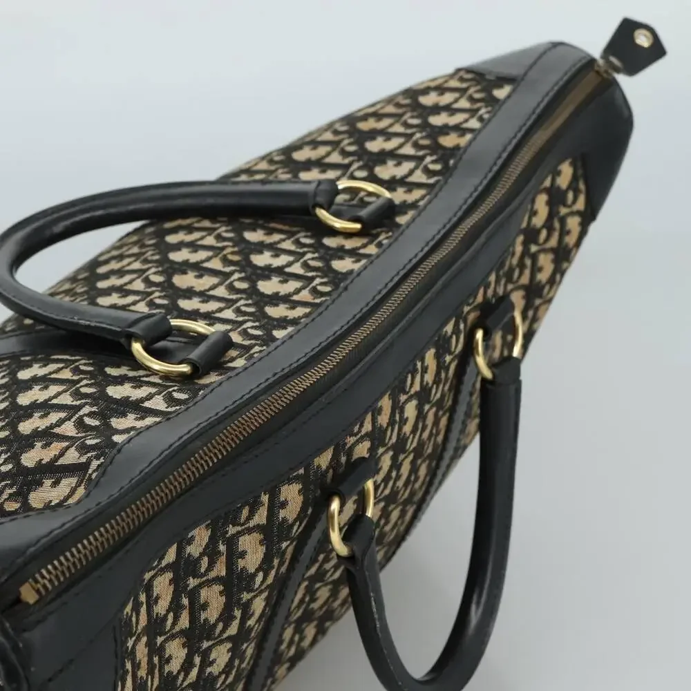 Dior trotter canvas