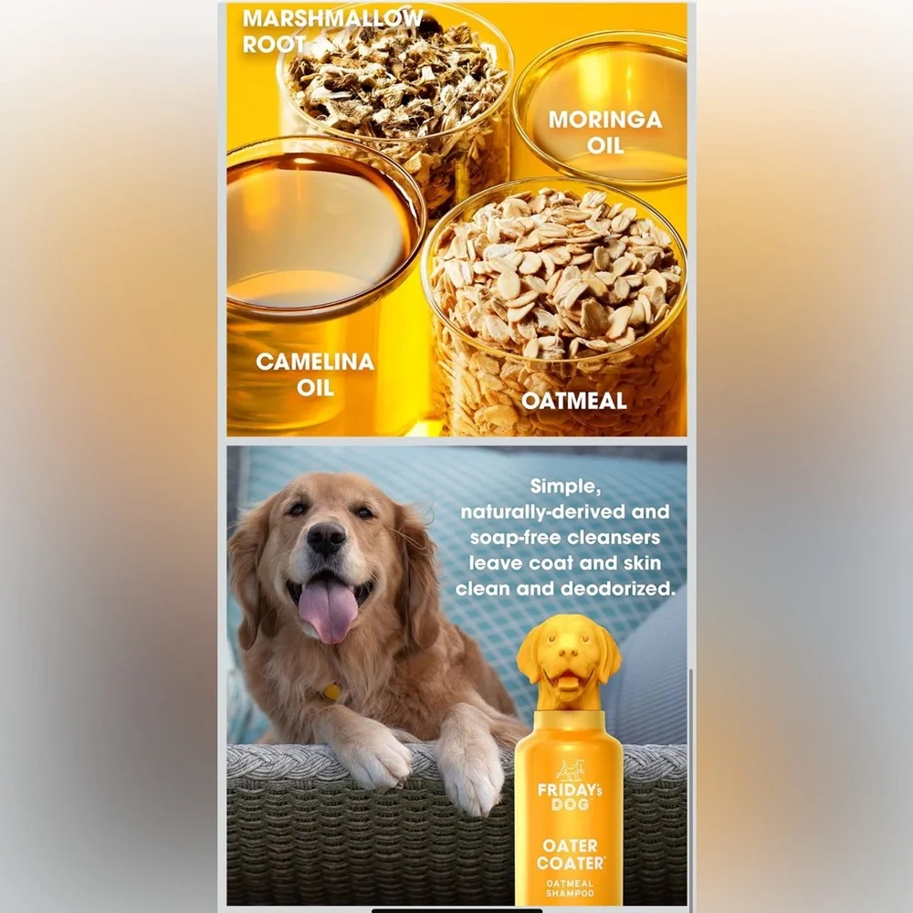 friday’s dog baking time