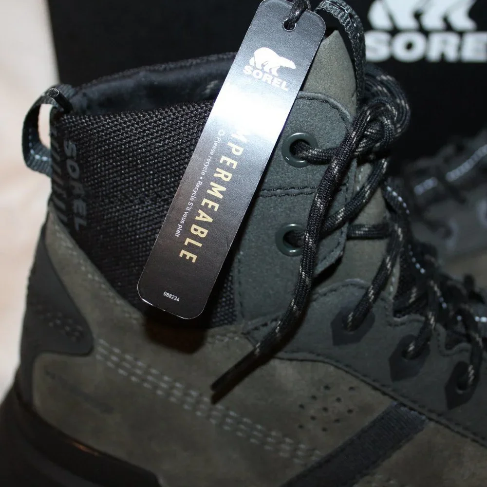 SOREL when we