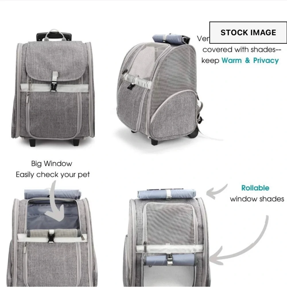 Lollimeow stylish gray
