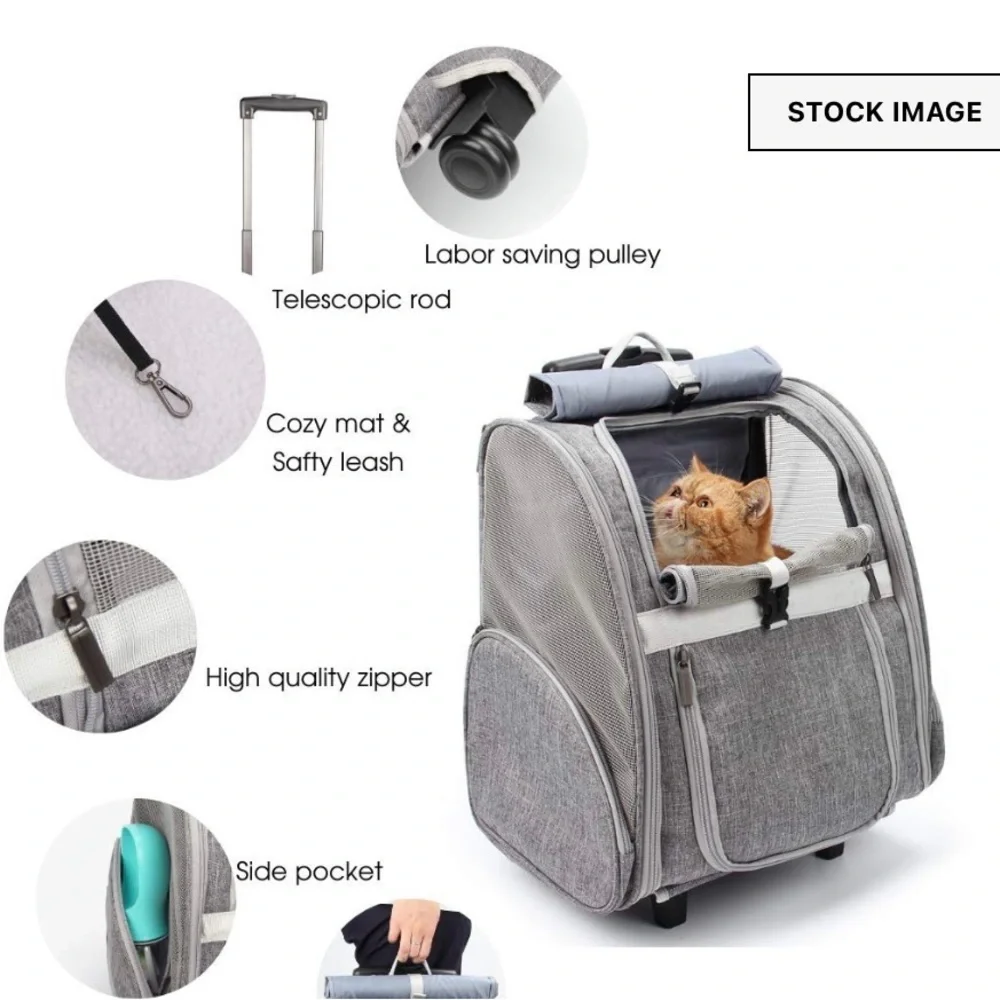 Lollimeow stylish gray