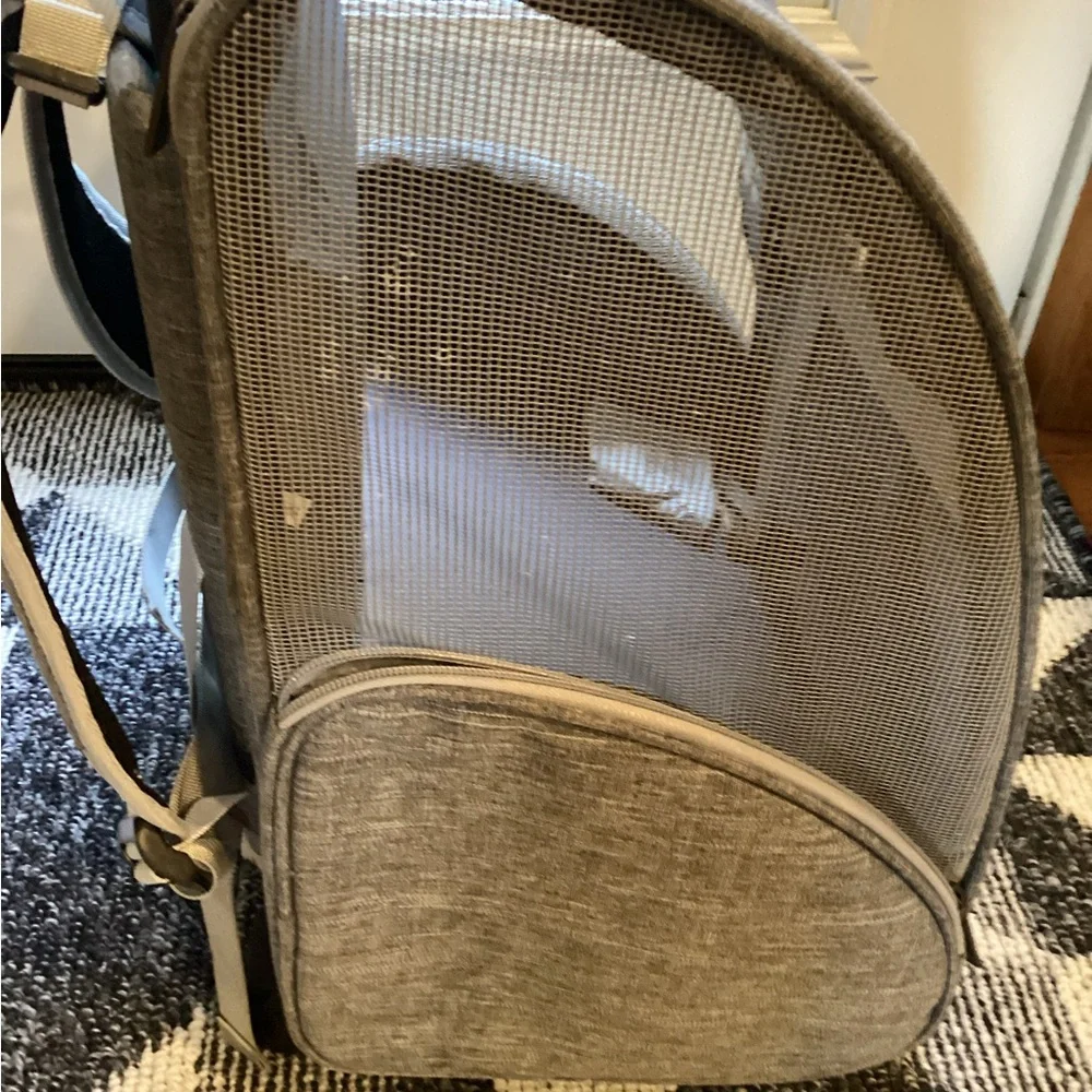 Lollimeow stylish gray