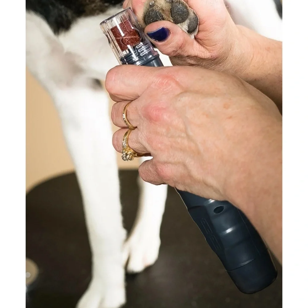 Wahl reduce 5971 batteries