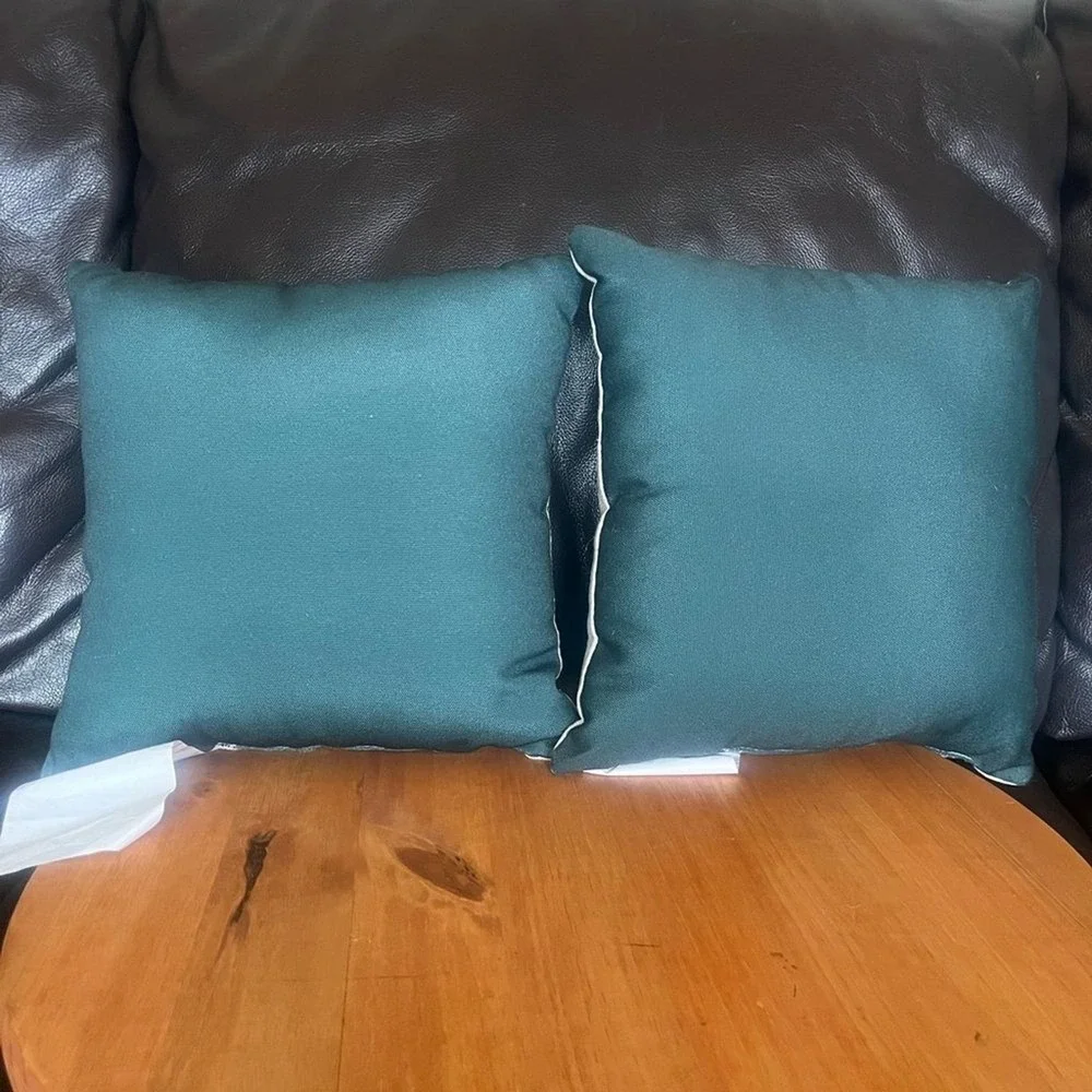 Disney these pillows